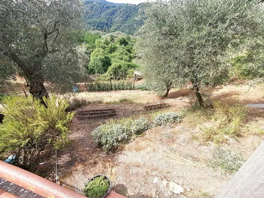 Immagine 5 di Terratetto in vendita  a Lucca