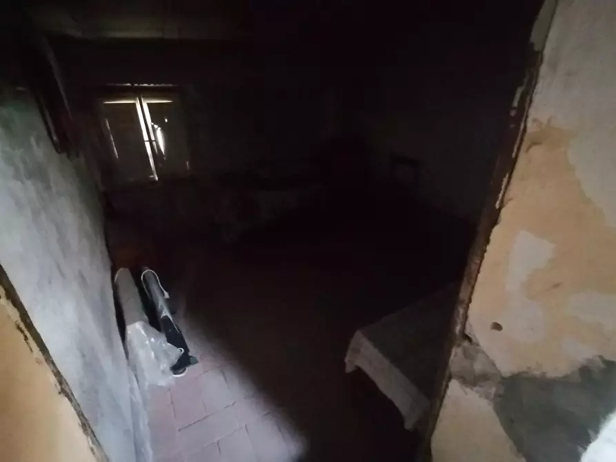 Immagine 9 di Terratetto in vendita  a Lucca