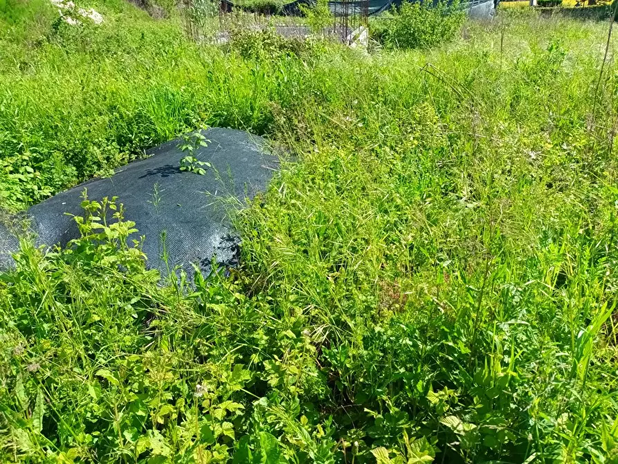 Immagine 10 di Terreno residenziale in vendita  a Lucca