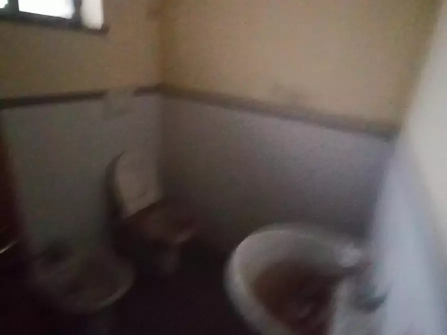 Immagine 9 di Magazzino in vendita  a Lucca