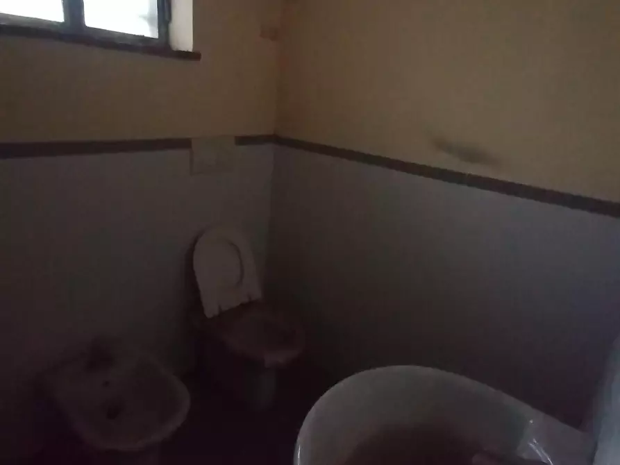 Immagine 6 di Magazzino in vendita  a Lucca