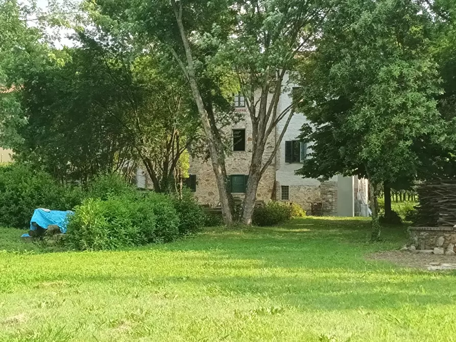 Immagine 4 di Terreno residenziale in vendita  a Capannori