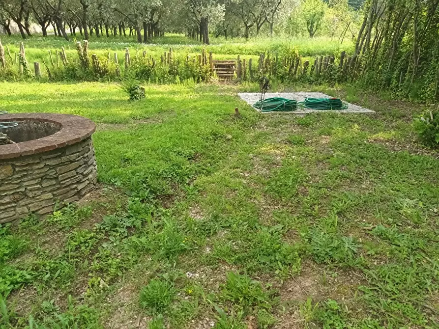 Immagine 9 di Terreno residenziale in vendita  a Capannori