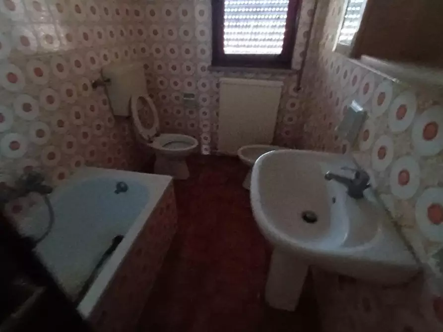 Immagine 5 di Terreno residenziale in vendita  a Porcari