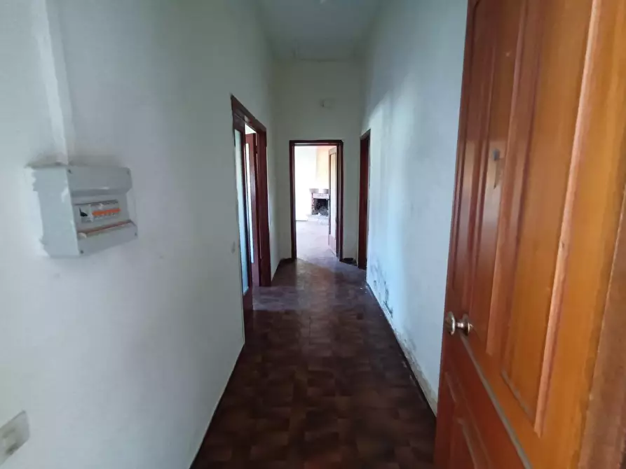 Immagine 17 di Terreno residenziale in vendita  a Porcari