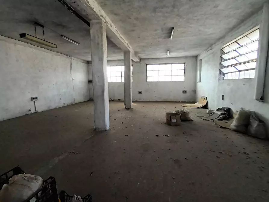 Immagine 15 di Terreno residenziale in vendita  a Porcari