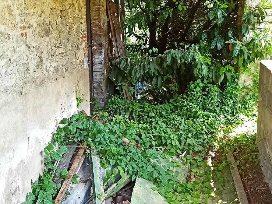 Immagine 6 di Rustico / casale in vendita  a Pescaglia