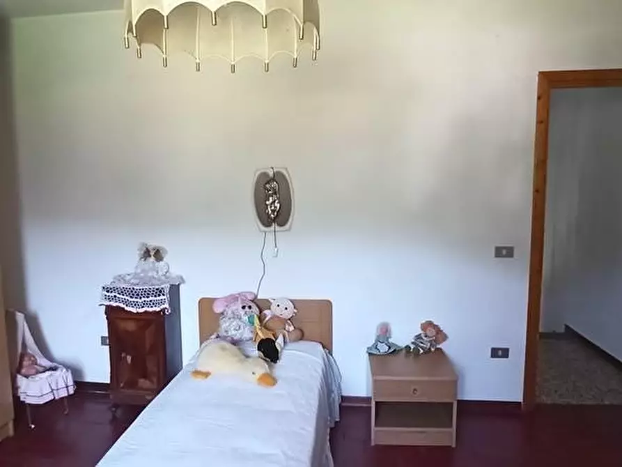 Immagine 21 di Casa colonica in vendita  a Coreglia Antelminelli