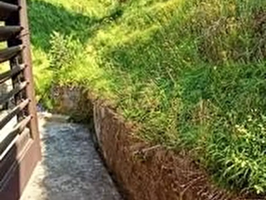 Immagine 13 di Casa colonica in vendita  a Coreglia Antelminelli