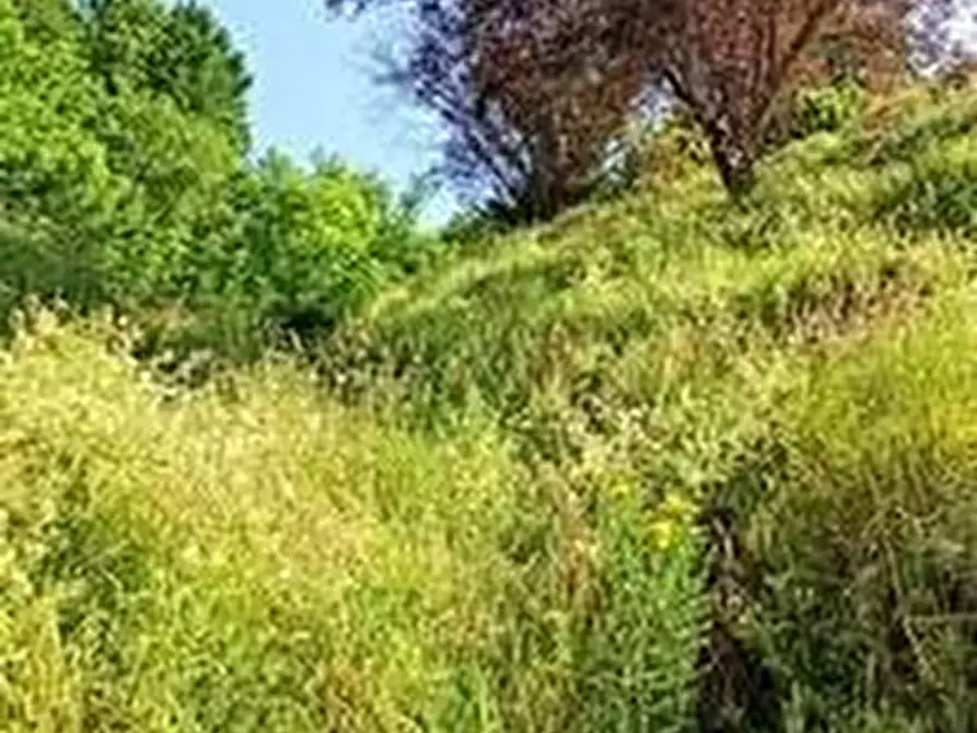 Immagine 4 di Casa colonica in vendita  a Coreglia Antelminelli