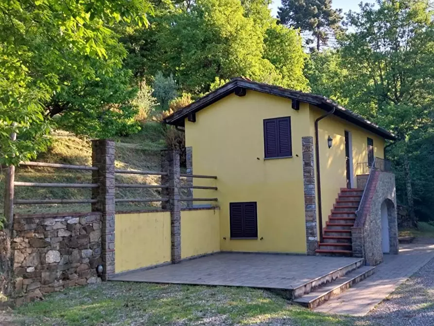 Immagine 14 di Rustico / casale in vendita  a Camaiore