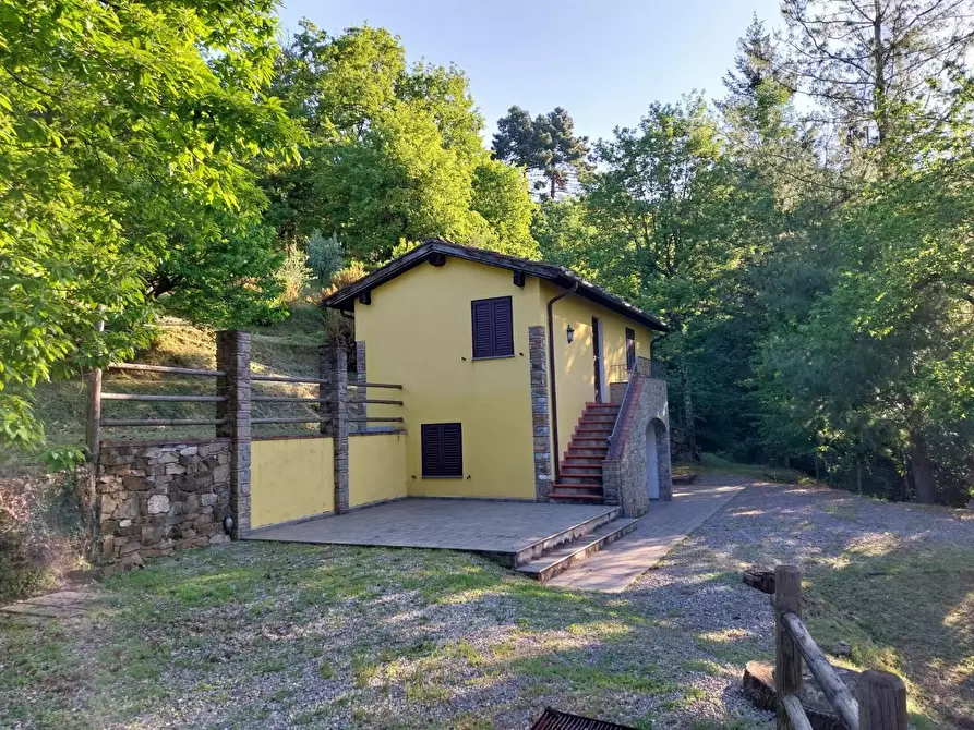 Immagine 2 di Rustico / casale in vendita  a Camaiore