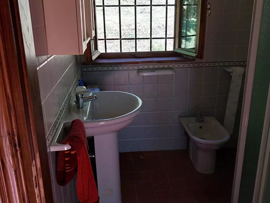 Immagine 8 di Rustico / casale in vendita  a Camaiore