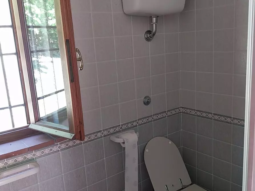 Immagine 3 di Rustico / casale in vendita  a Camaiore