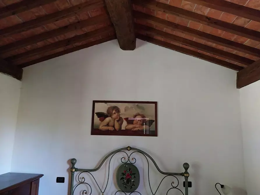 Immagine 7 di Rustico / casale in vendita  a Camaiore