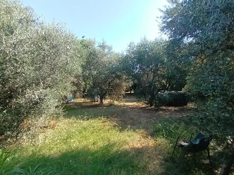 Immagine 23 di Villa in vendita  a Lucca