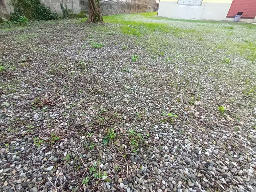 Immagine 3 di Appartamento in vendita  a Lucca