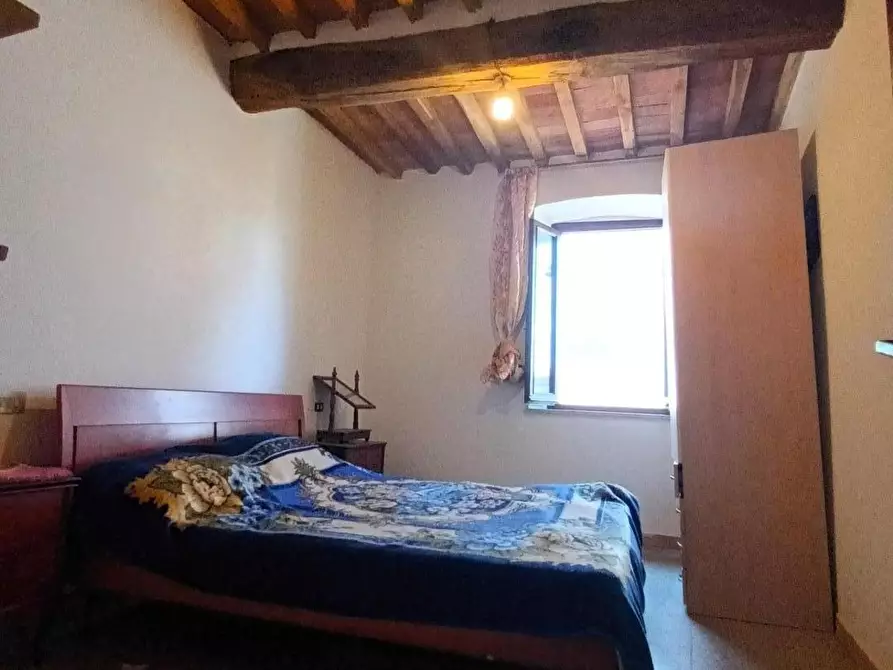 Immagine 13 di Terratetto in vendita  a Capannori