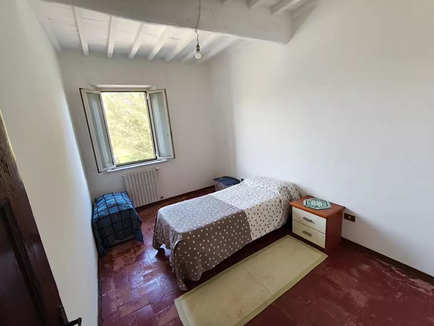 Immagine 18 di Terratetto in vendita  a Lucca