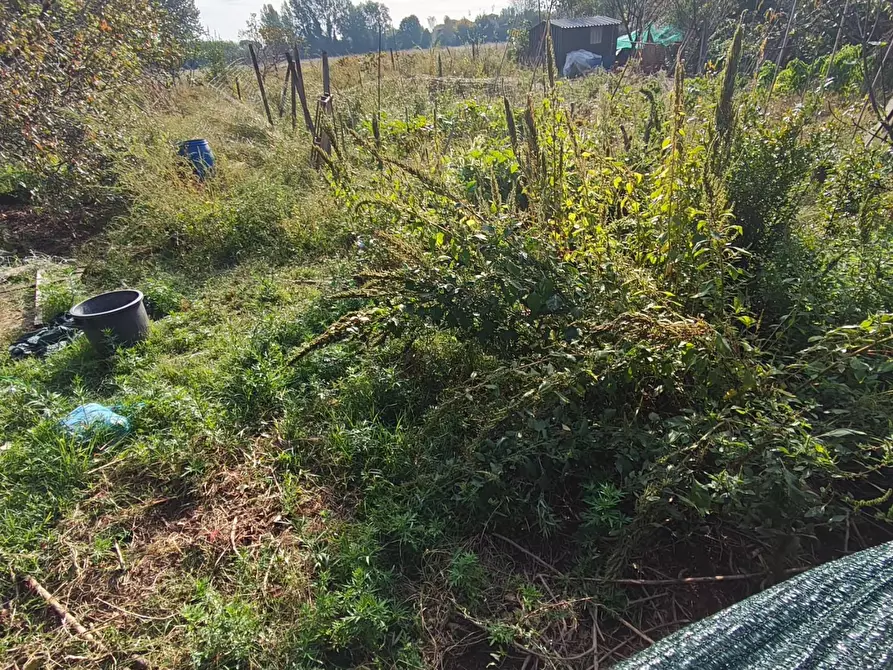 Immagine 13 di Deposito in vendita  a Lucca