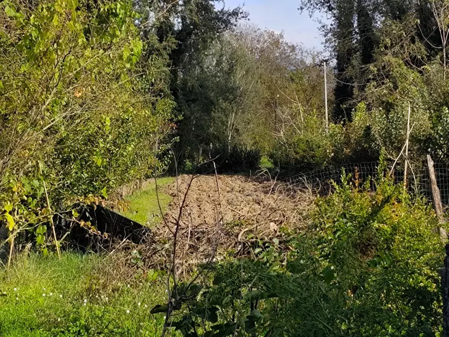 Immagine 10 di Deposito in vendita  a Lucca