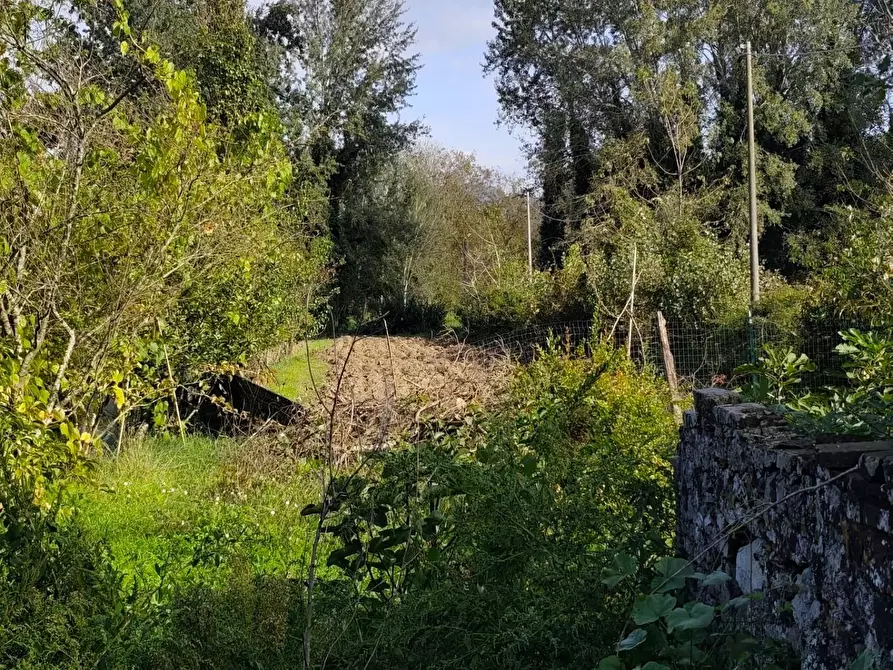 Immagine 11 di Deposito in vendita  a Lucca