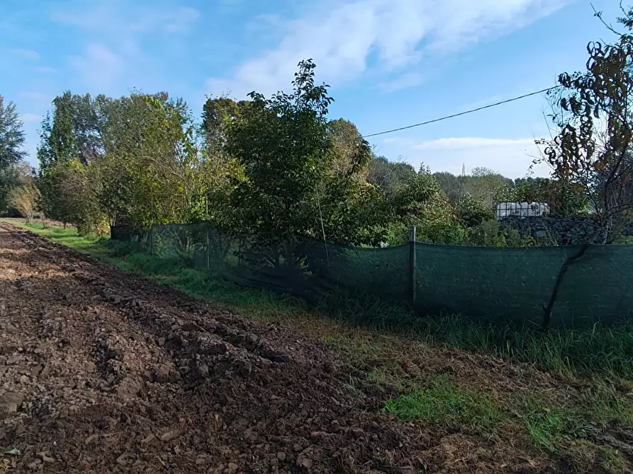 Immagine 9 di Deposito in vendita  a Lucca