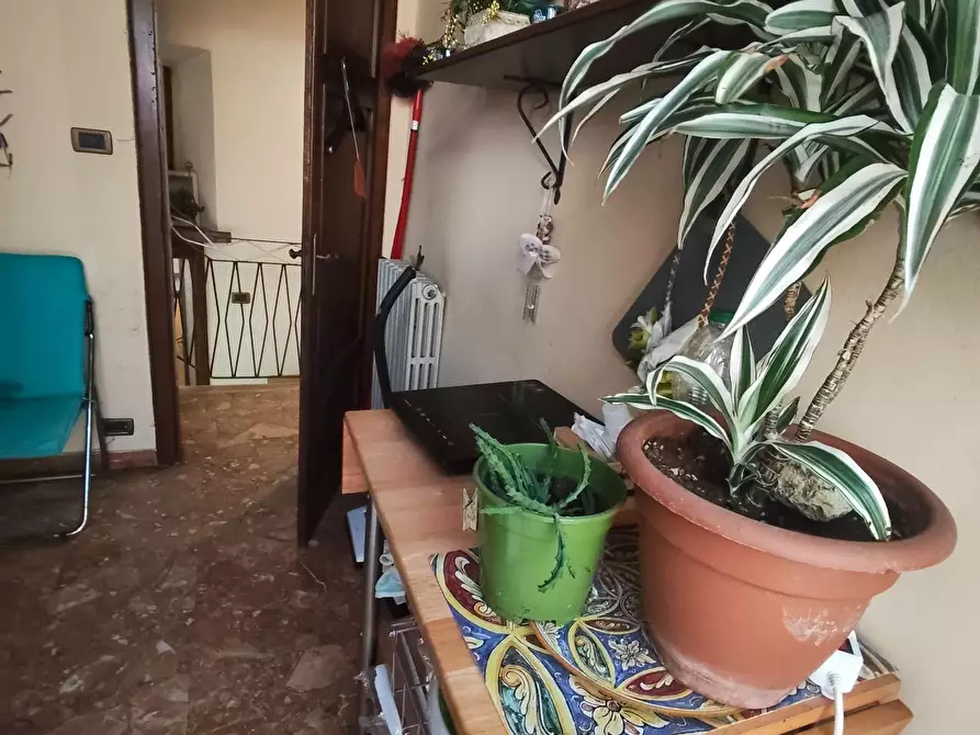 Immagine 20 di Terratetto in vendita  a Gallicano