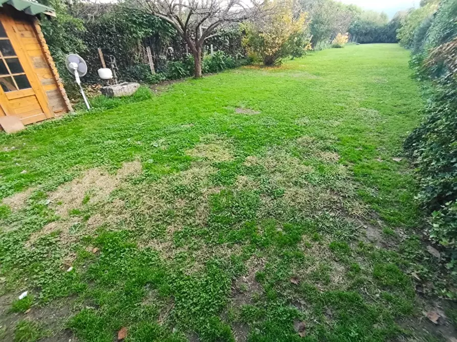 Immagine 5 di Terratetto in vendita  a Lucca