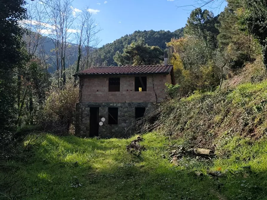 Immagine 13 di Rustico / casale in vendita  a Capannori