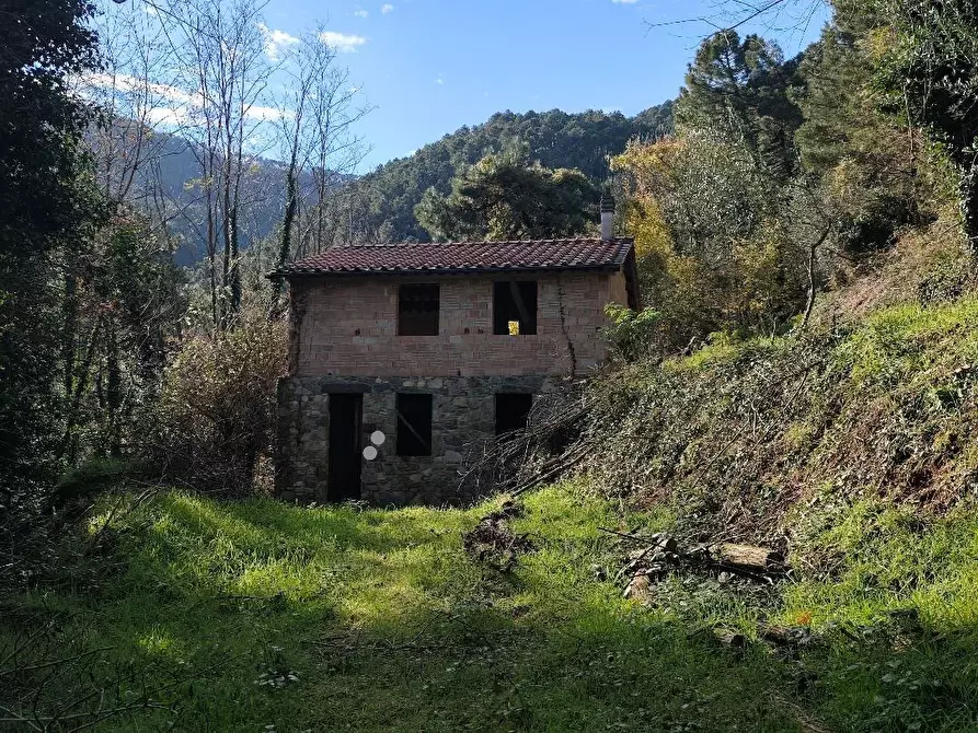 Immagine 1 di Rustico / casale in vendita  a Capannori