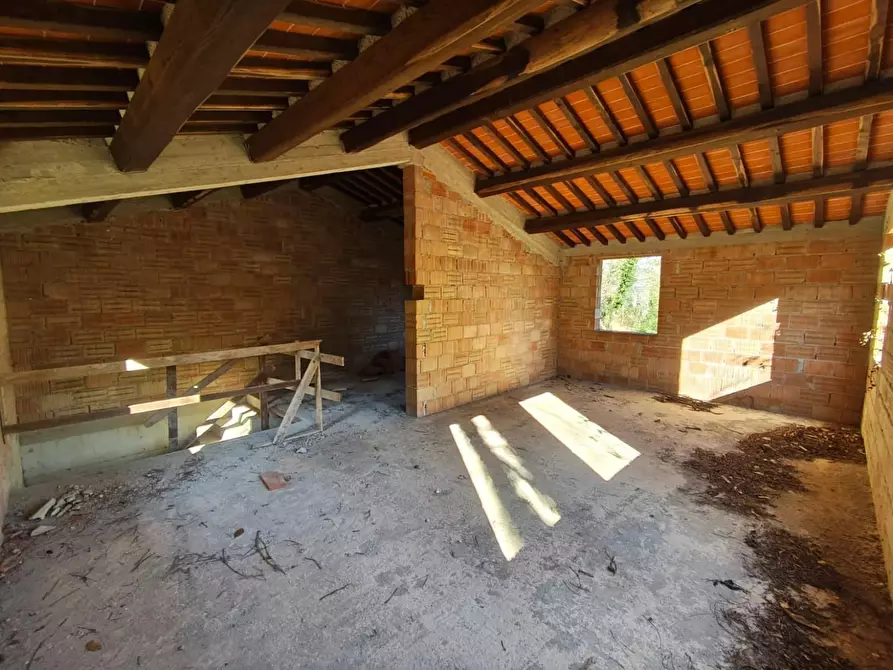 Immagine 31 di Rustico / casale in vendita  a Capannori
