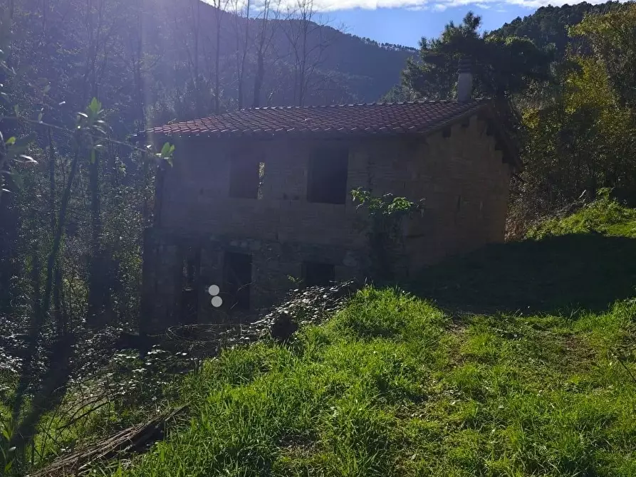Immagine 38 di Rustico / casale in vendita  a Capannori