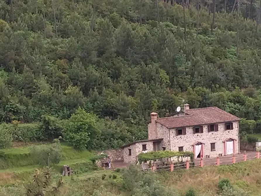 Immagine 77 di Casa colonica in vendita  a Capannori