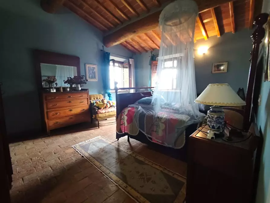 Immagine 46 di Casa colonica in vendita  a Capannori