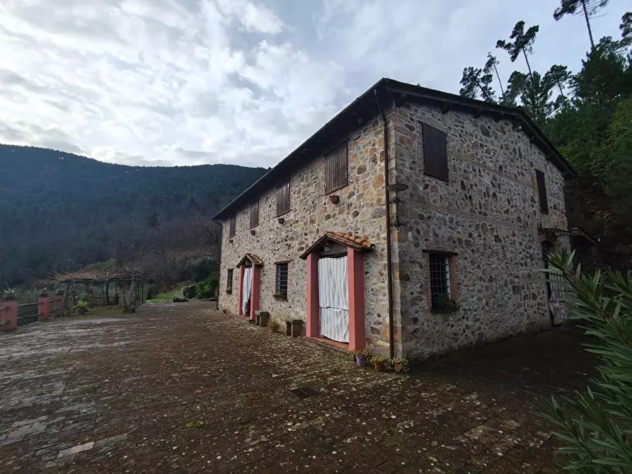 Immagine 11 di Casa colonica in vendita  a Capannori