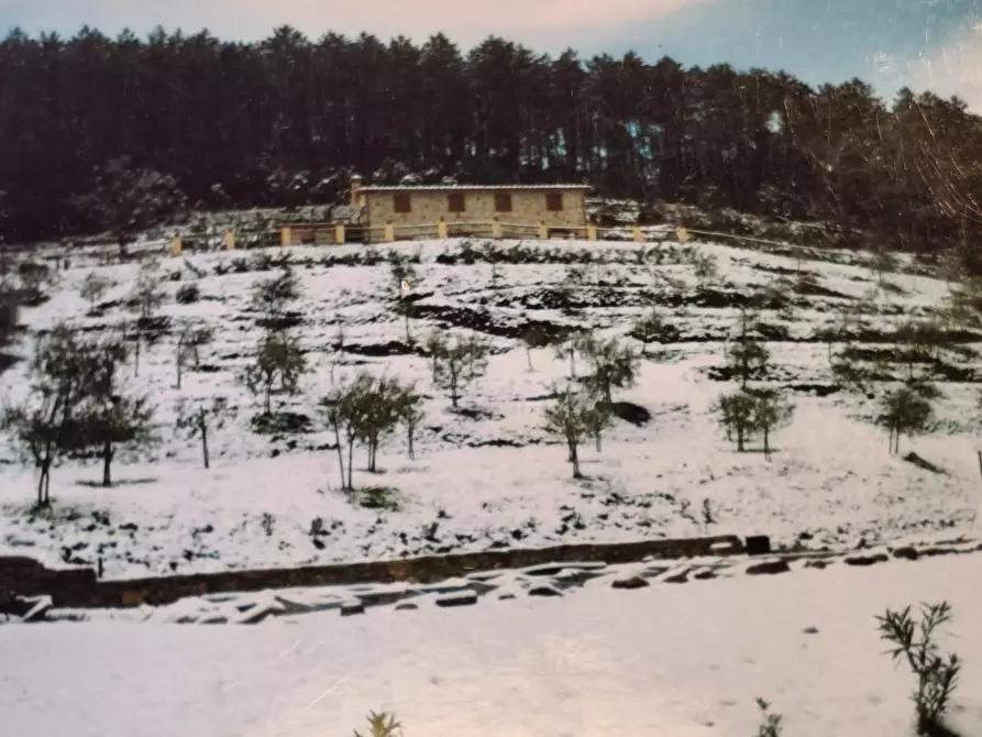 Immagine 71 di Casa colonica in vendita  a Capannori