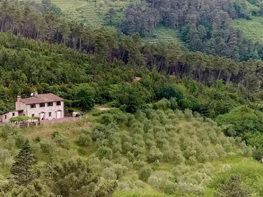 Immagine 73 di Casa colonica in vendita  a Capannori