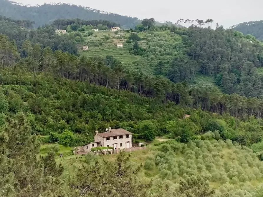 Immagine 78 di Casa colonica in vendita  a Capannori