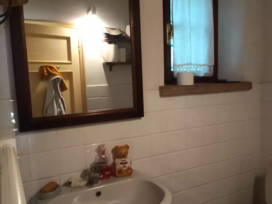 Immagine 35 di Casa colonica in vendita  a Capannori