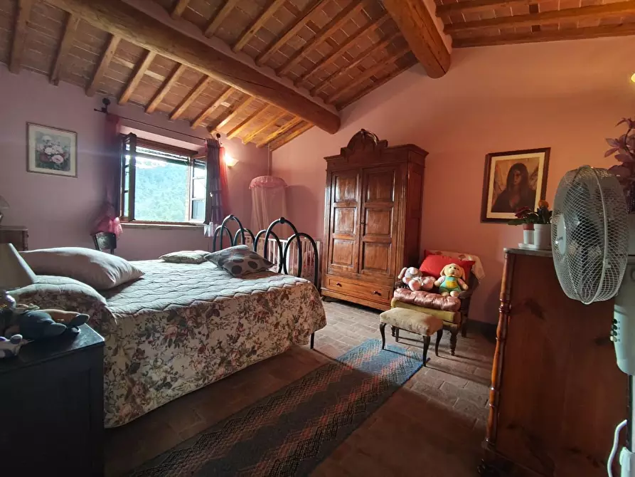 Immagine 57 di Casa colonica in vendita  a Capannori