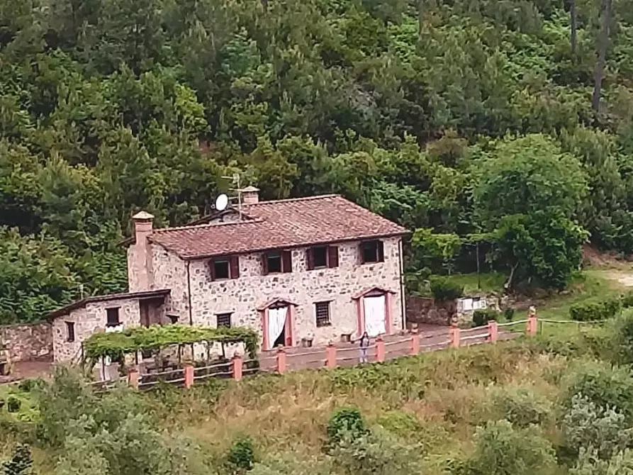 Immagine 74 di Casa colonica in vendita  a Capannori