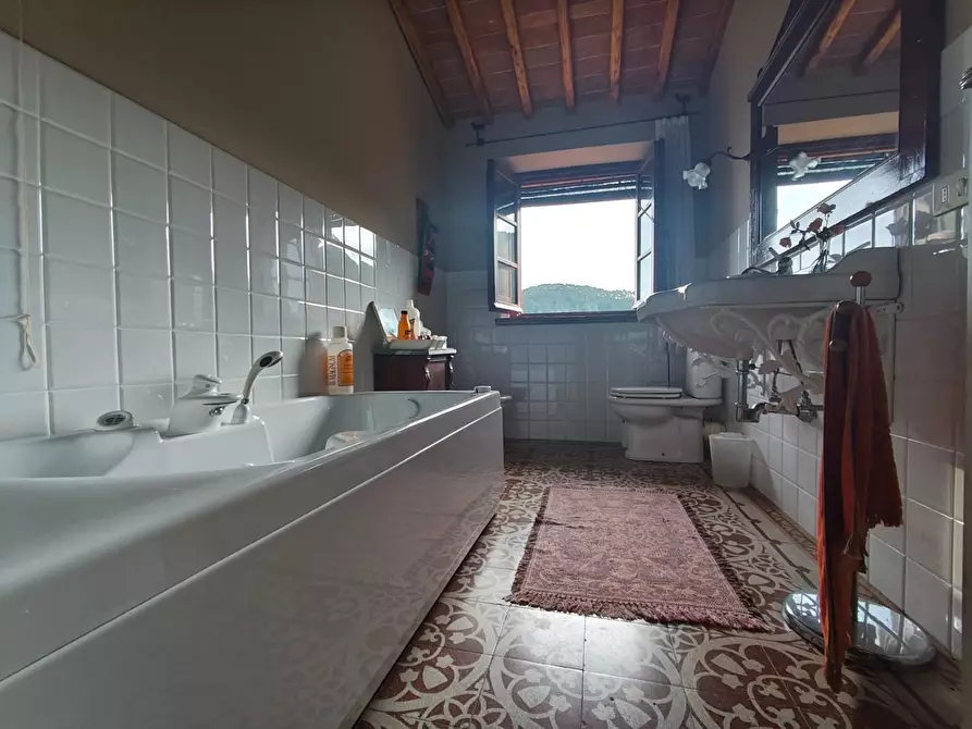 Immagine 44 di Casa colonica in vendita  a Capannori