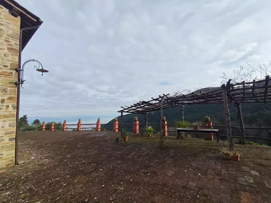 Immagine 6 di Casa colonica in vendita  a Capannori