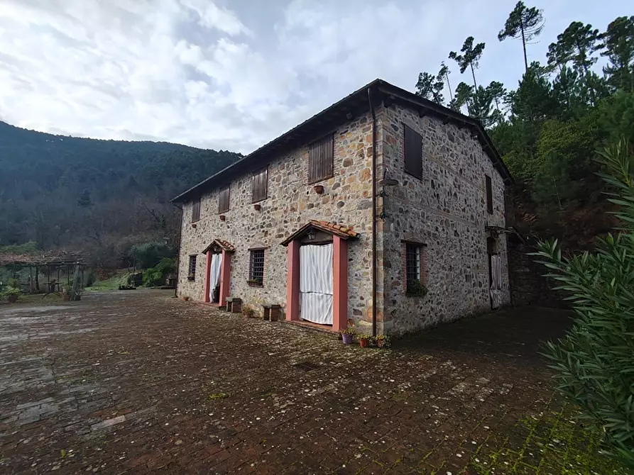 Immagine 9 di Casa colonica in vendita  a Capannori