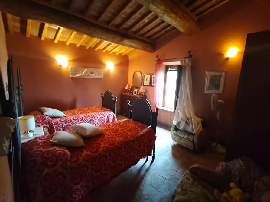 Immagine 48 di Casa colonica in vendita  a Capannori