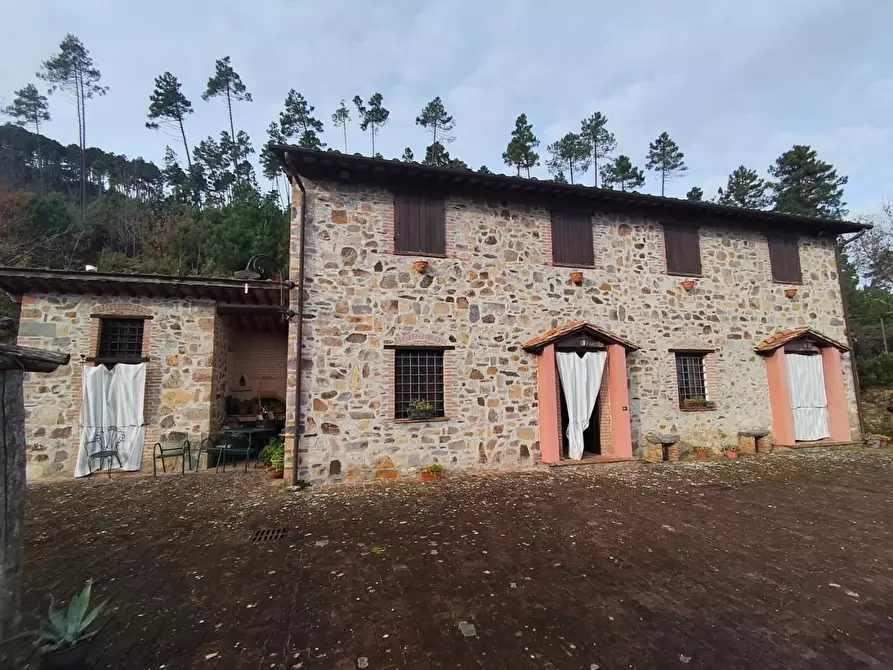 Immagine 2 di Casa colonica in vendita  a Capannori