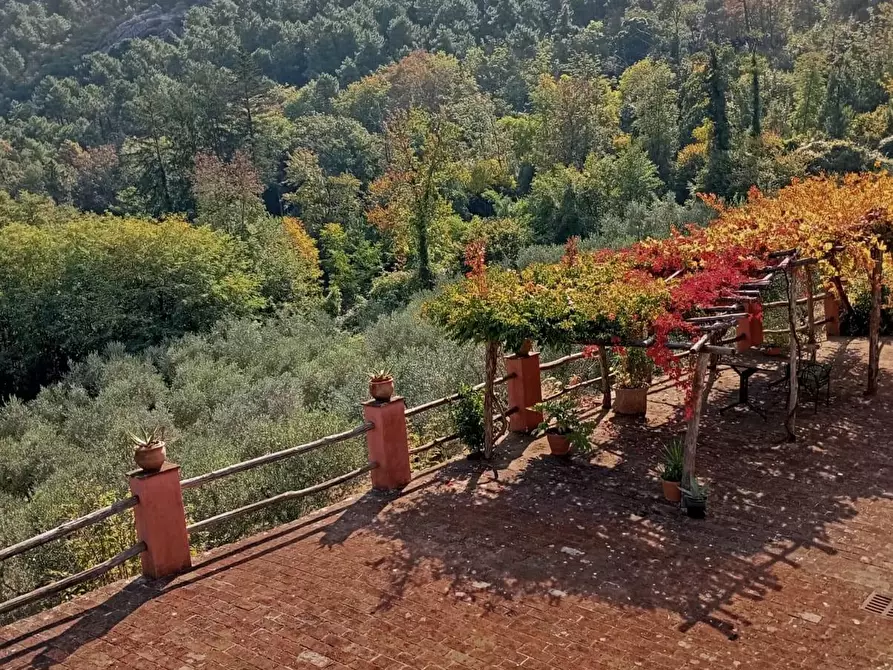 Immagine 83 di Casa colonica in vendita  a Capannori