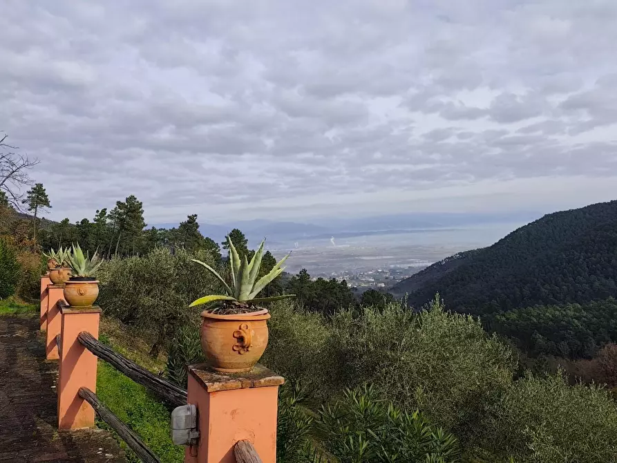 Immagine 7 di Casa colonica in vendita  a Capannori