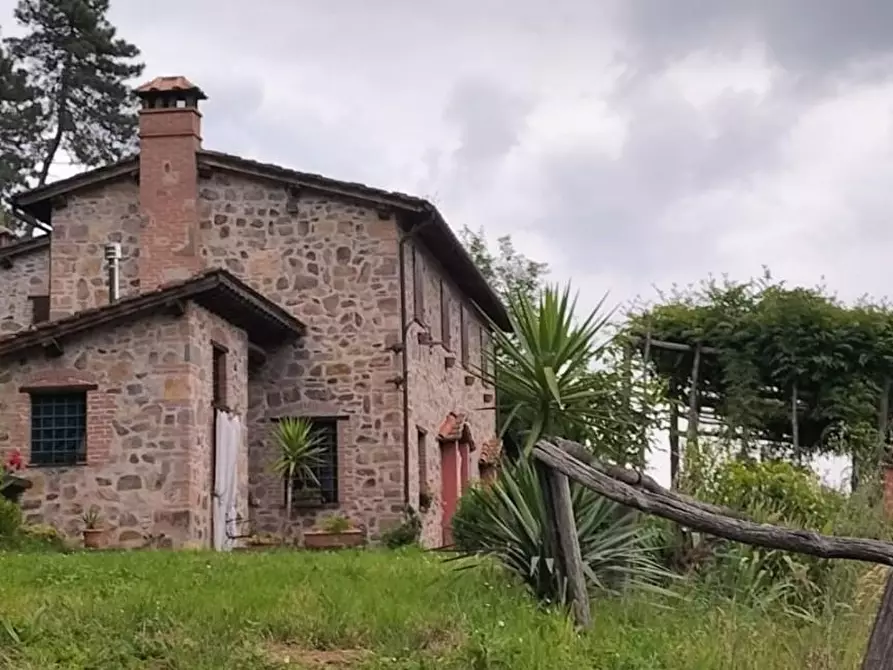 Immagine 72 di Casa colonica in vendita  a Capannori